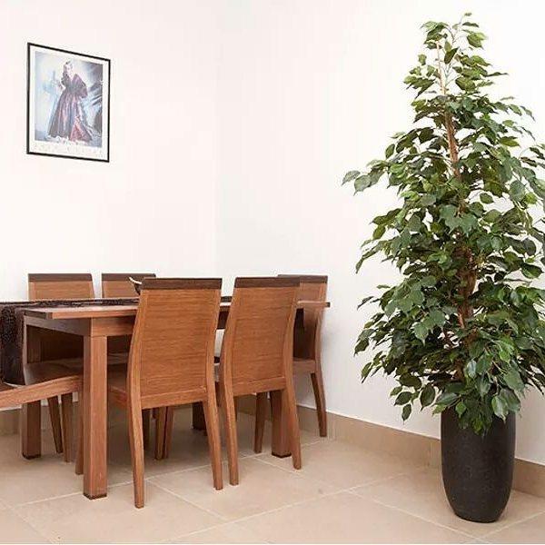 Beau Views Apartment Peyia Ngoại thất bức ảnh